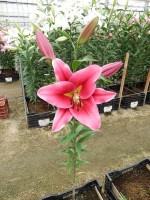 [4568 VH44 No01.JPG]